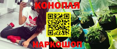 гидропоника Нальчик