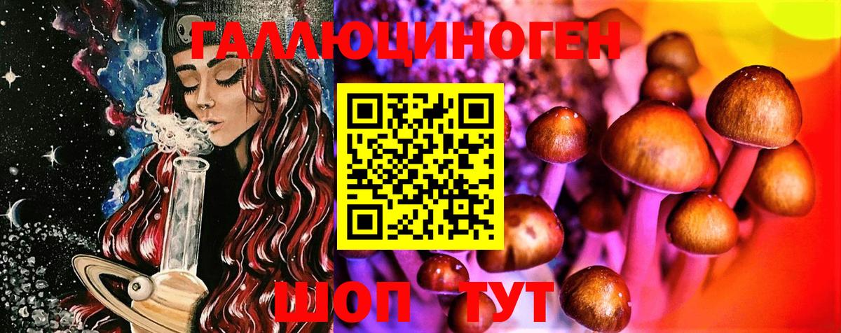 Галлюциногенные грибы GOLDEN TEACHER Чапаевск