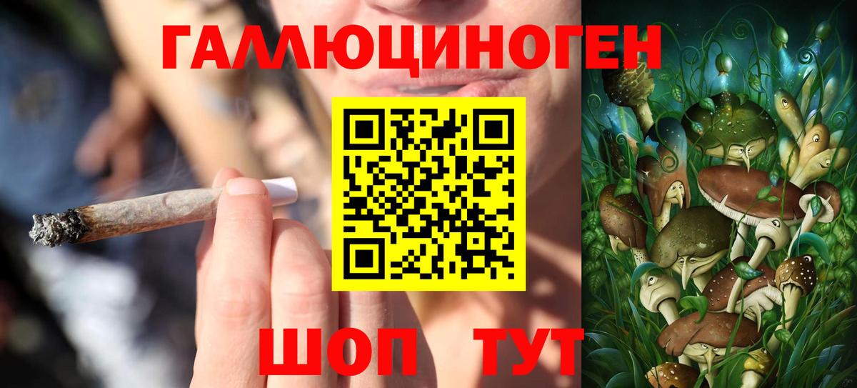 Псилоцибиновые грибы мухоморы  купить наркотик  Вход с VPN  Чапаевск  Псилоцибиновые грибы Psilocybe 