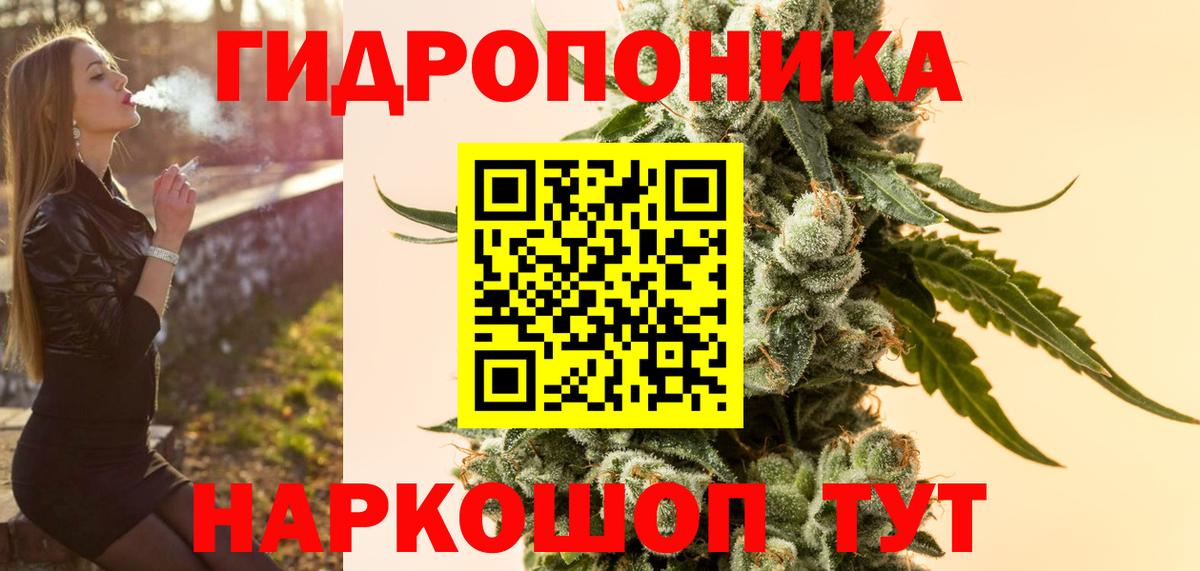 Конопля OG Kush Чапаевск